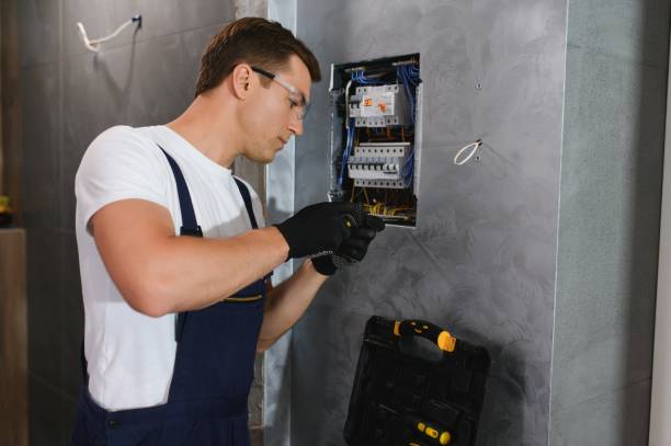 Best Ceiling Fan Installation Electrician  in Wayzata, MN